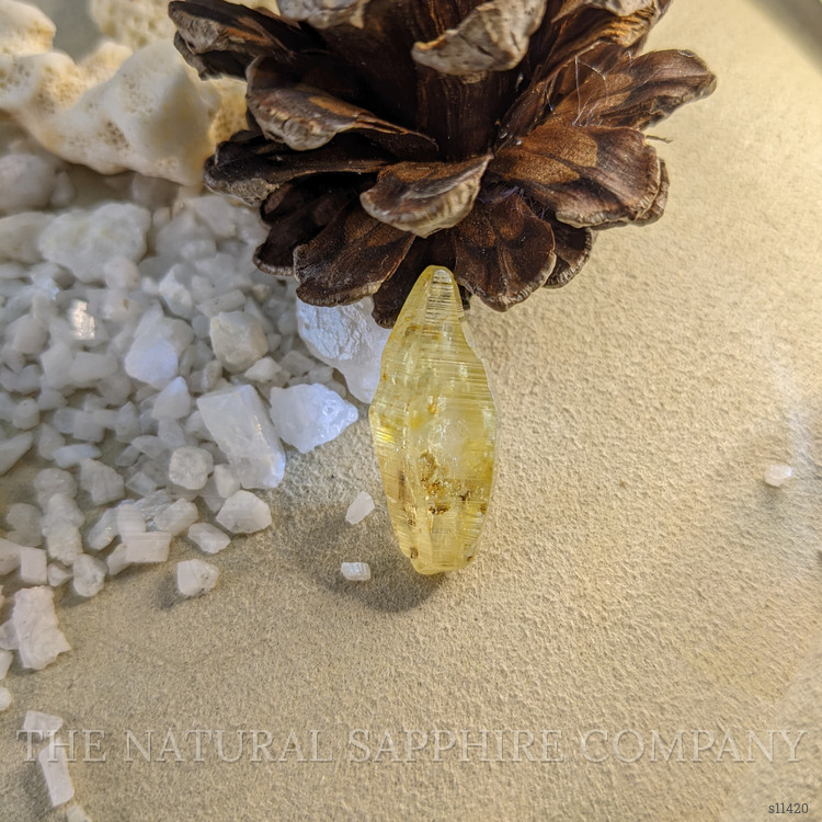 24.44 Ct. Yellow Sapphire Crystal from Ceylon (Sri Lanka)