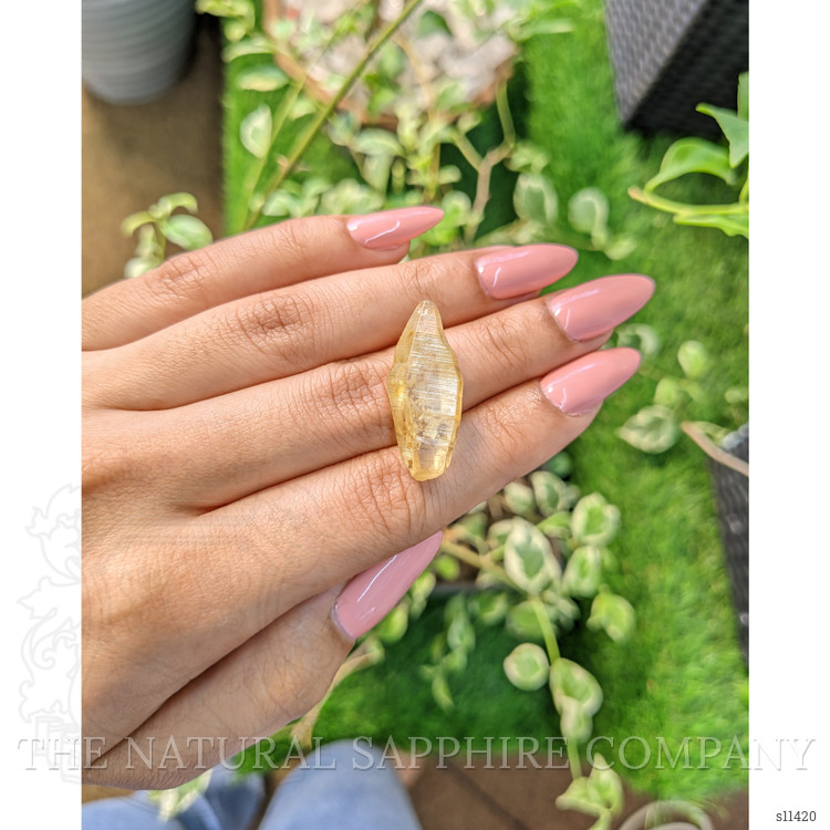 24.44 Ct. Yellow Sapphire Crystal from Ceylon (Sri Lanka)