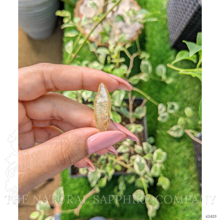 24.44 Ct. Yellow Sapphire Crystal from Ceylon (Sri Lanka)