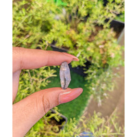 12.26 Ct. Blue Sapphire Crystal from Ceylon (Sri Lanka) Life Style