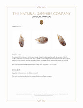 44.58 Ct. Bi Color Rough Sapphire from Ceylon (Sri Lanka) Appraisal