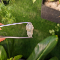 16.57 Ct. White Sapphire Crystal from Ceylon (Sri Lanka) Life Style