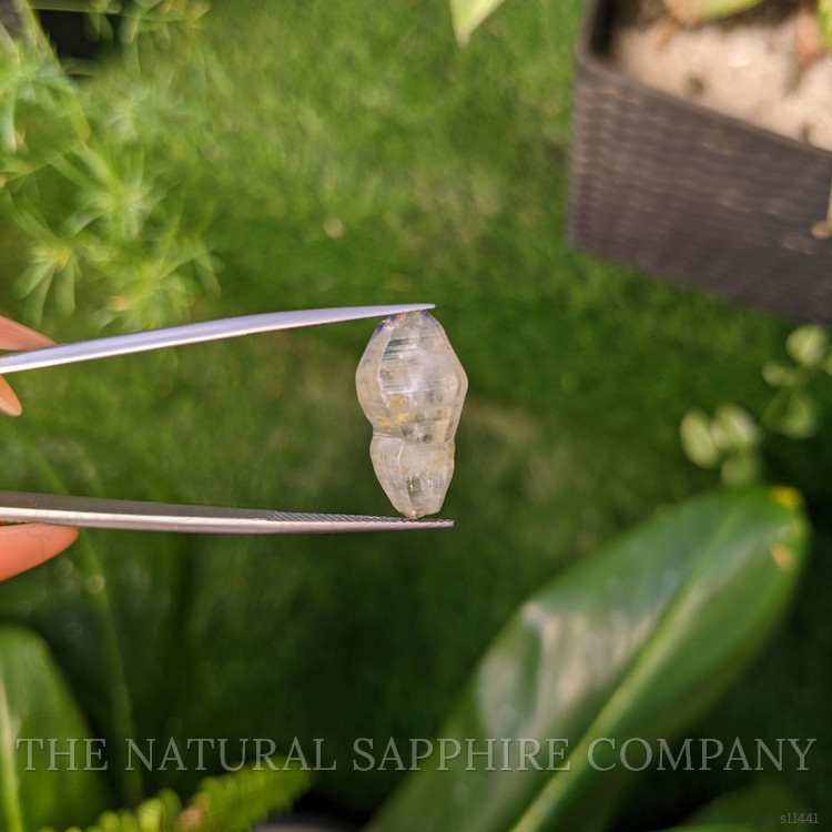 16.57 Ct. White Sapphire Crystal from Ceylon (Sri Lanka)