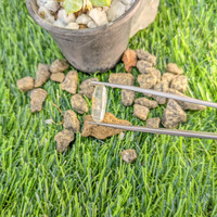 5.49 Ct. Yellowish Green Rough Sapphire from Ceylon (Sri Lanka) Life Style