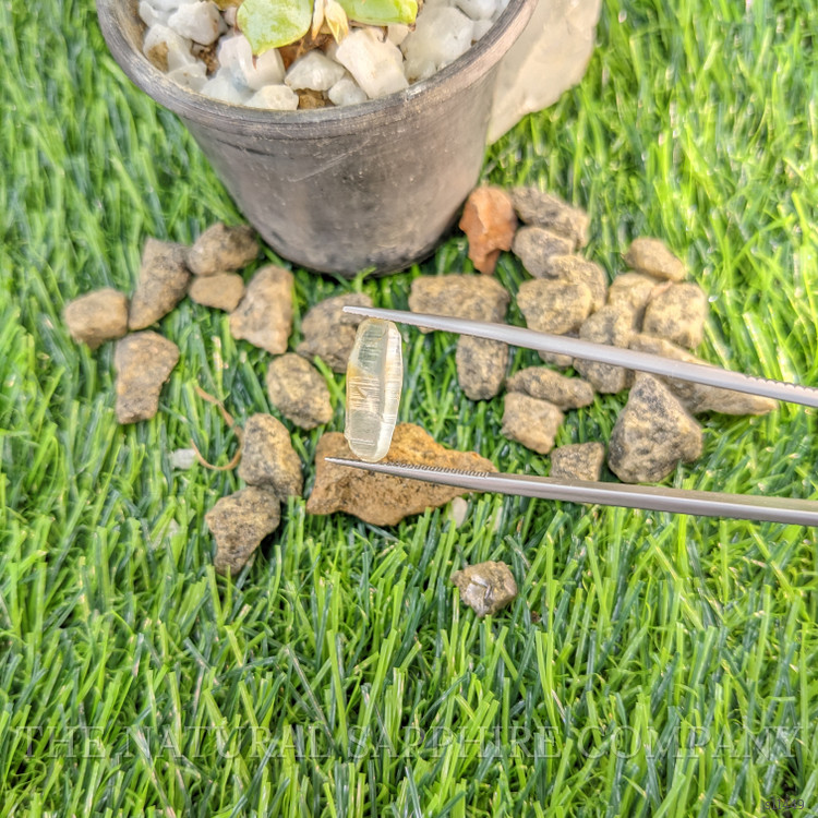 5.49 Ct. Yellowish Green Rough Sapphire from Ceylon (Sri Lanka)