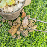 11.91 Ct. Bi Color Rough Sapphire from Ceylon (Sri Lanka) Life Style