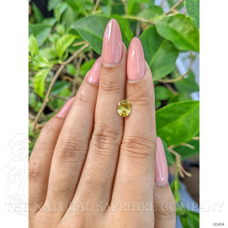1.40 Ct. Yellow Sapphire from Ceylon (Sri Lanka)