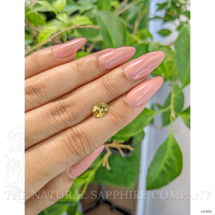 1.40 Ct. Yellow Sapphire from Ceylon (Sri Lanka)
