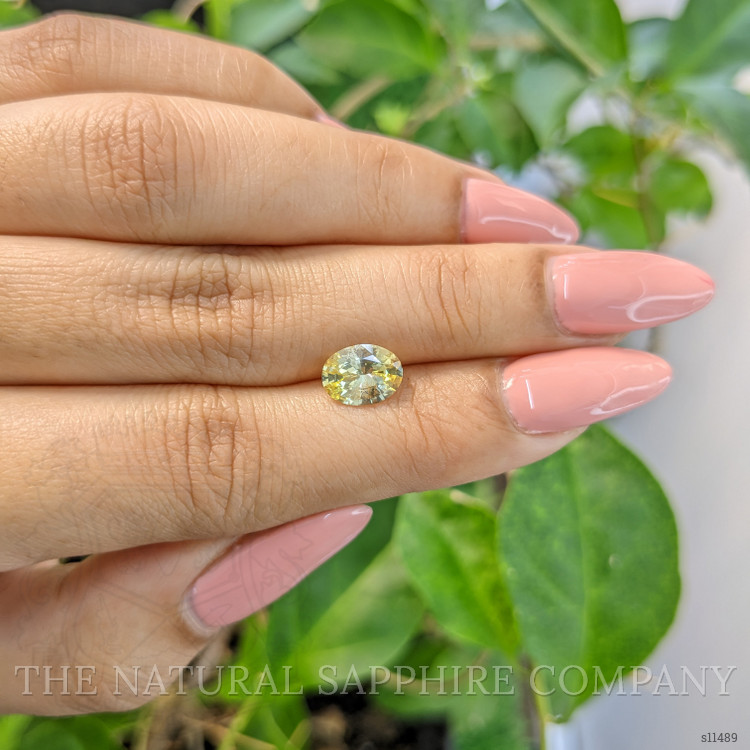 1.57 Ct. Yellow Sapphire from Ceylon (Sri Lanka)