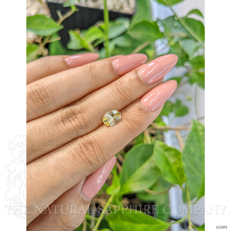 1.57 Ct. Yellow Sapphire from Ceylon (Sri Lanka)