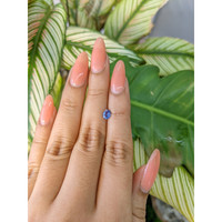 0.48 Ct. Blue Sapphire from Ceylon (Sri Lanka) Life Style