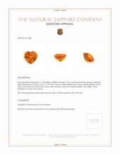 Jewelry Appraisal