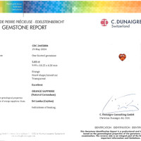 Jewelry Scan Report