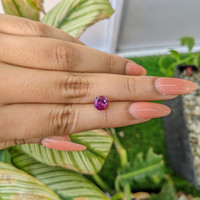 1.95 Ct. Purplish Pink Sapphire from Ceylon (Sri Lanka) Life Style