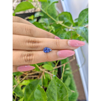 1.69 Ct. Blue Sapphire from Ceylon (Sri Lanka) Life Style