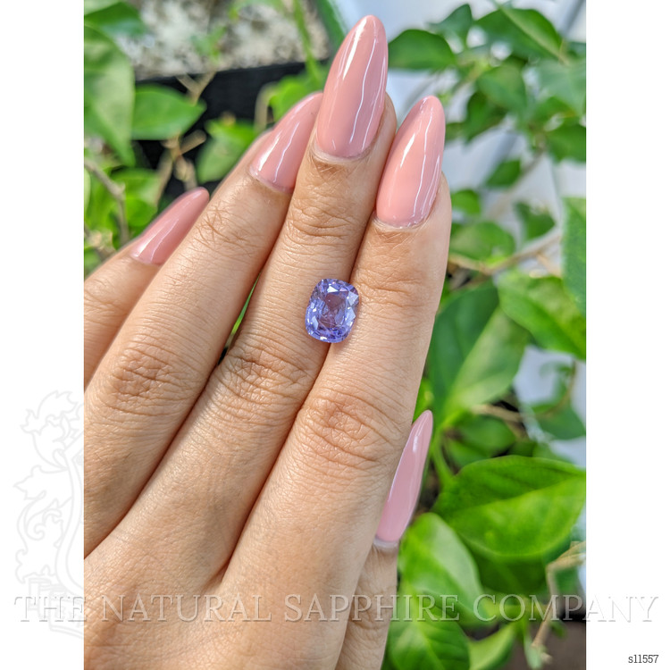 2.65 Ct. Violet Sapphire from Ceylon (Sri Lanka)