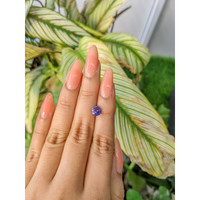 1.19 Ct. Color Change Sapphire from Ceylon (Sri Lanka) Life Style