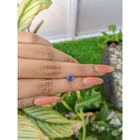 1.05 Ct. Blue Sapphire from Ceylon (Sri Lanka) Life Style