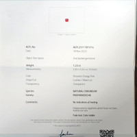 Jewelry Scan Report