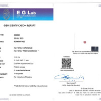 1.03 Ct. Sapphire from Ceylon (Sri Lanka) Scan Report