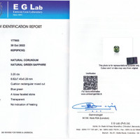 3.20 Ct. Bluish Green Sapphire from Ceylon (Sri Lanka) Scan Report