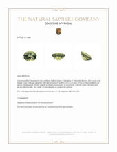 4.03 Ct. Color Change Sapphire from Ceylon (Sri Lanka) Appraisal