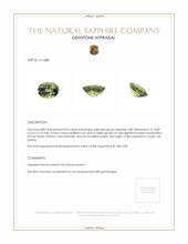 4.03 Ct. Yellowish Green Sapphire from Ceylon (Sri Lanka) Appraisal
