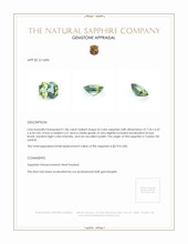 1.86 Ct. Sapphire from Ceylon (Sri Lanka) Appraisal