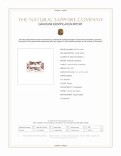 Jewelry Scan Report