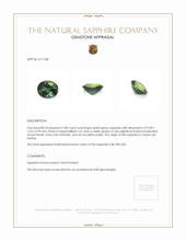 2.80 Ct. Bluish Green Sapphire from Ceylon (Sri Lanka) Appraisal