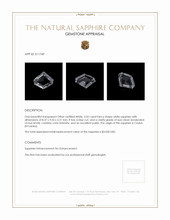 Jewelry Appraisal