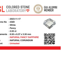Jewelry Scan Report