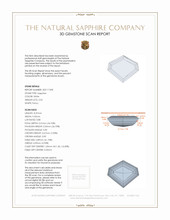 Jewelry 3 D Scan Report