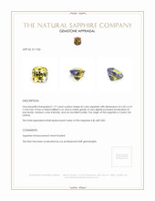 1.77 Ct. Bi Color Sapphire from Ceylon (Sri Lanka) Appraisal