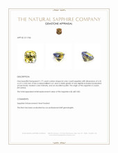 1.77 Ct. Bi Color / Parti Sapphire from Ceylon (Sri Lanka) Appraisal