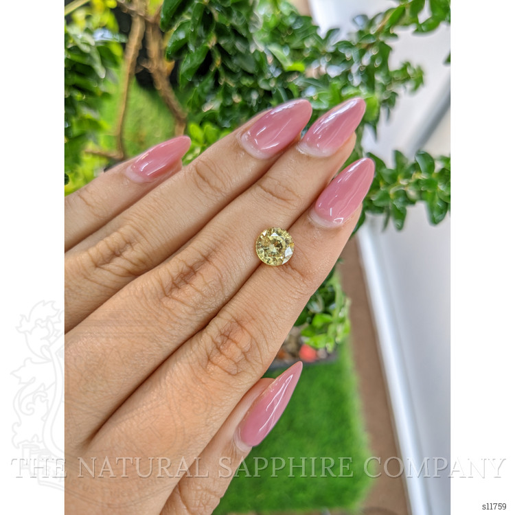 2.43 Ct. Yellow Sapphire from Ceylon (Sri Lanka)