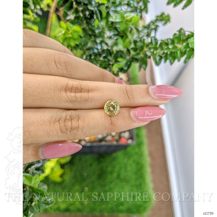 2.43 Ct. Yellow Sapphire from Ceylon (Sri Lanka)