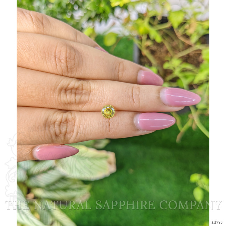 0.99 Ct. Yellow Sapphire from Ceylon (Sri Lanka)