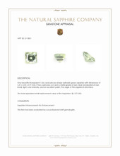 Jewelry Appraisal