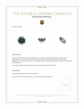Jewelry Appraisal