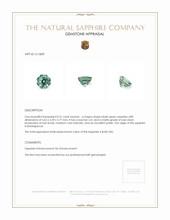 0.31 Ct. Bluish Green Sapphire from Madagascar Appraisal