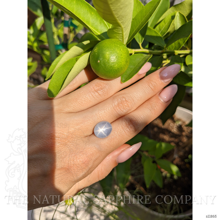 8.04 Ct. Greyish Blue Star Sapphire from Ceylon (Sri Lanka)