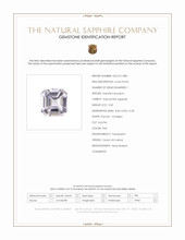 Jewelry Scan Report