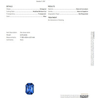 Jewelry Scan Report