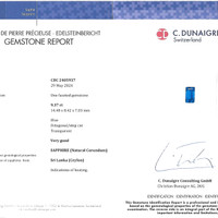 Jewelry Scan Report