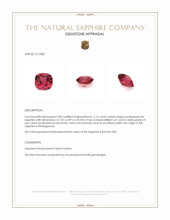 Jewelry Appraisal