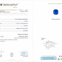 7.21 Ct. Blue Sapphire from Ceylon (Sri Lanka) Scan Report