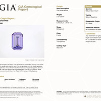 Jewelry Scan Report