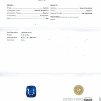 Jewelry Scan Report
