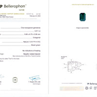 Jewelry Scan Report